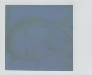 'self and the fear 2021 0002'
